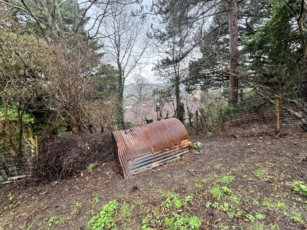 Lot: 16 - EXMOOR EDGE PASTURE WITH MAINS WATER AND VIEWS - Pig shed